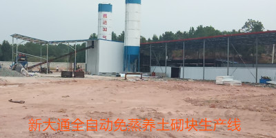 金算盘49829资料库